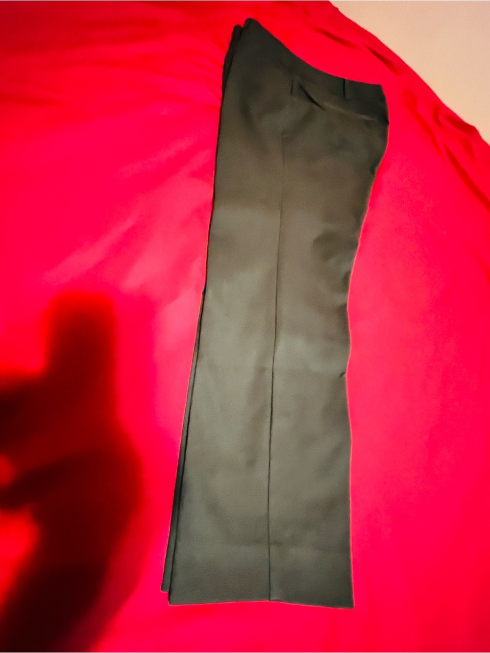 New York & Company Green Women's Dress Pants